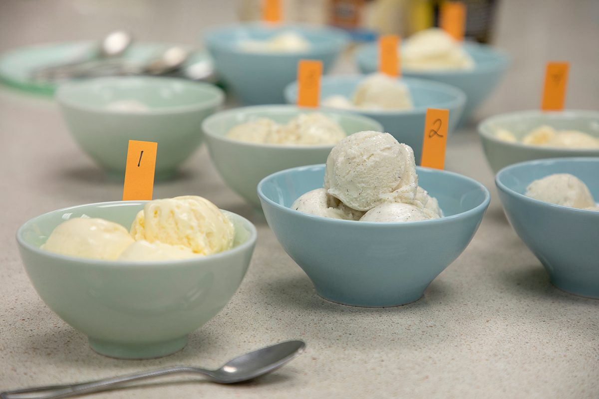 Best Healthy Ice Cream: We Put these 8 Low Calorie, High Protein-Brands to Test