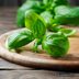 8 Mosquito-Repelling Plants to Add to Your Backyard ASAP