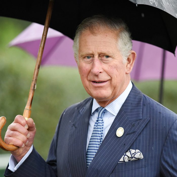 His Royal Highness The Prince of Wales attends the launch of the annual State of the World's Plants report and view the Great Broad Walk Borders at the Royal Botanic Gardens.