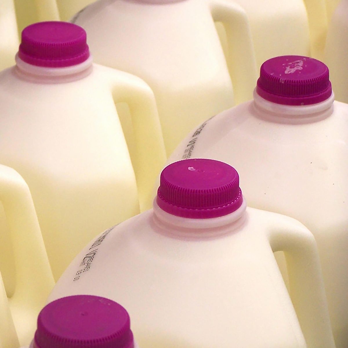 milk jugs