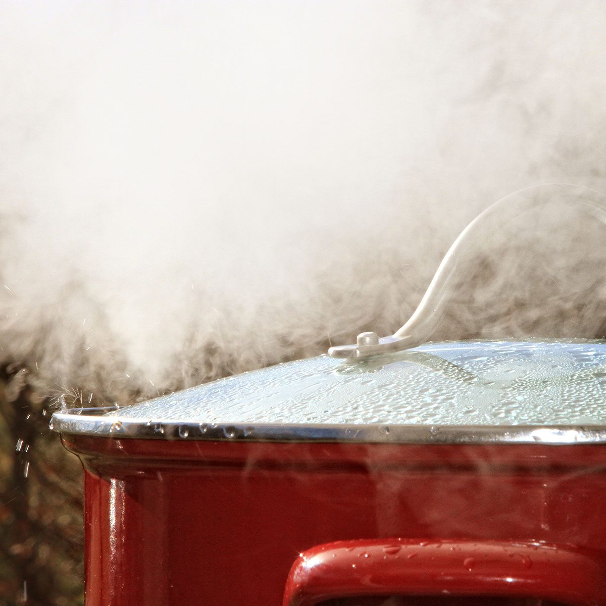 This pot releasing hot steam during the cooking of crabs.
