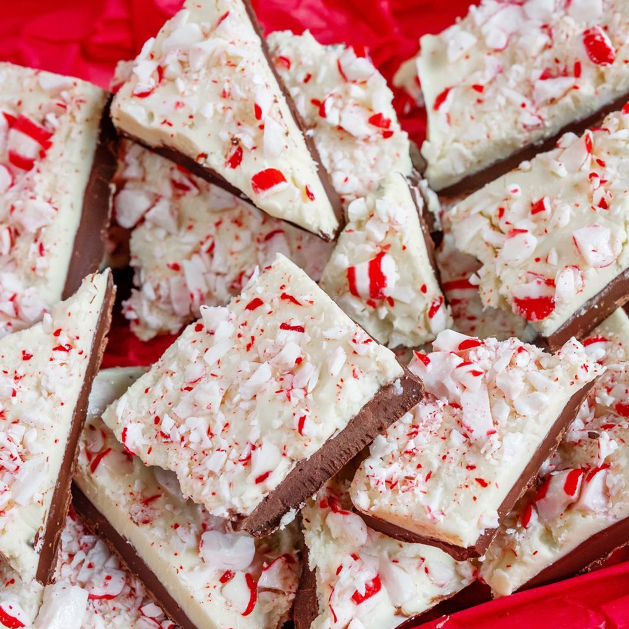 Williams Sonoma Peppermint Bark Square