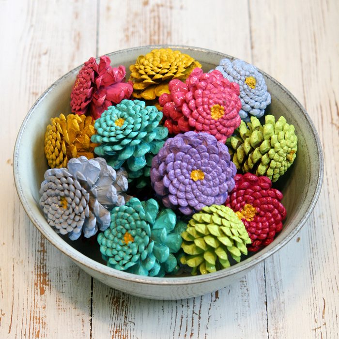 Pine Cone Flowers