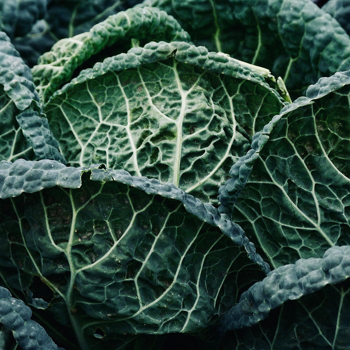Kale