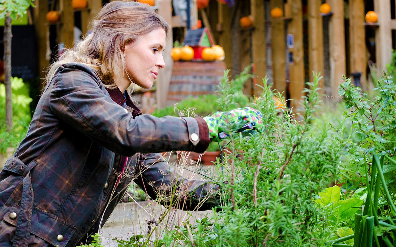 How to Prune Herbs (And Why You Definitely Should)