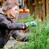 How to Prune Herbs (And Why You Definitely Should)