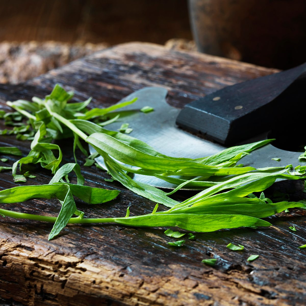 Fresh tarragon 