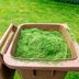 15 Things You Shouldn't Do To Your Lawn