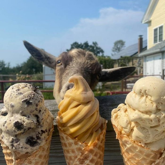 Memories Ice Cream