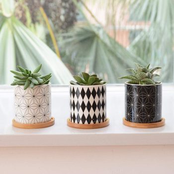 Chic Ceramic Herb Pots Ecomm Via Amazon.com