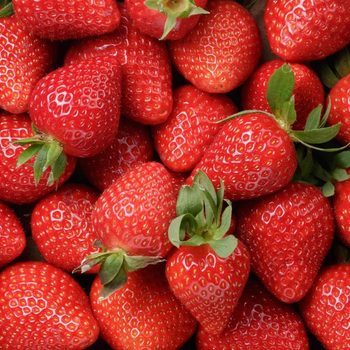 Background From Freshly Harvested Strawberries Directly Above