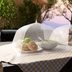 12 Products to Keep Bugs Away from Your Outdoor Eats