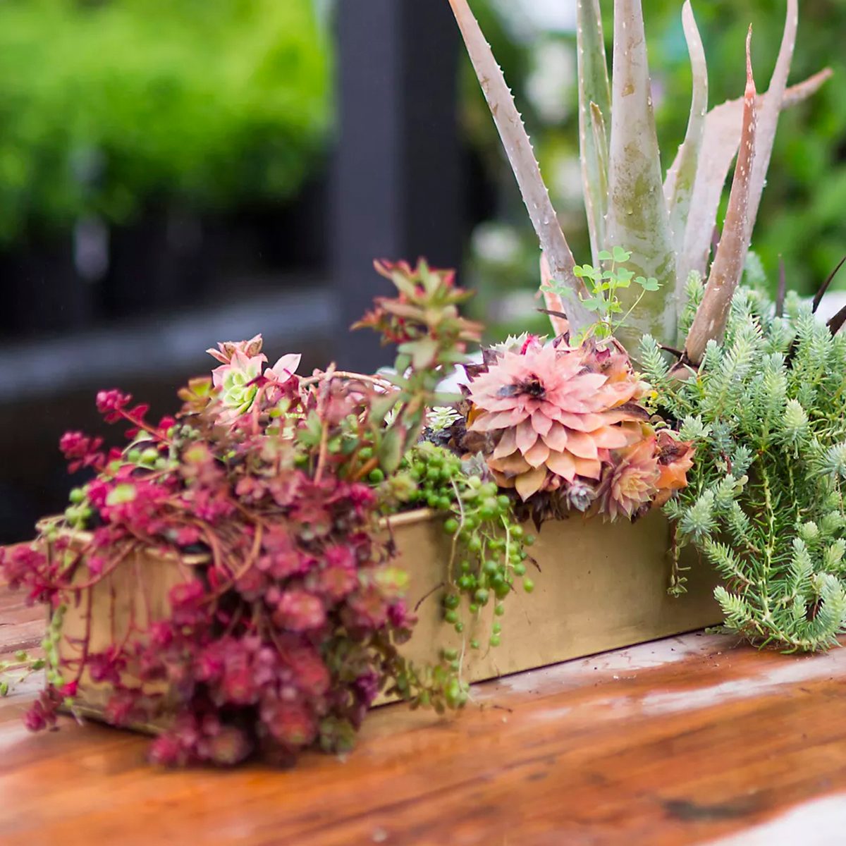 Habit Form Rectangle Trough