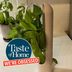 Prepara Herb Savor Pod Review: I Tried the Viral Herb Saver