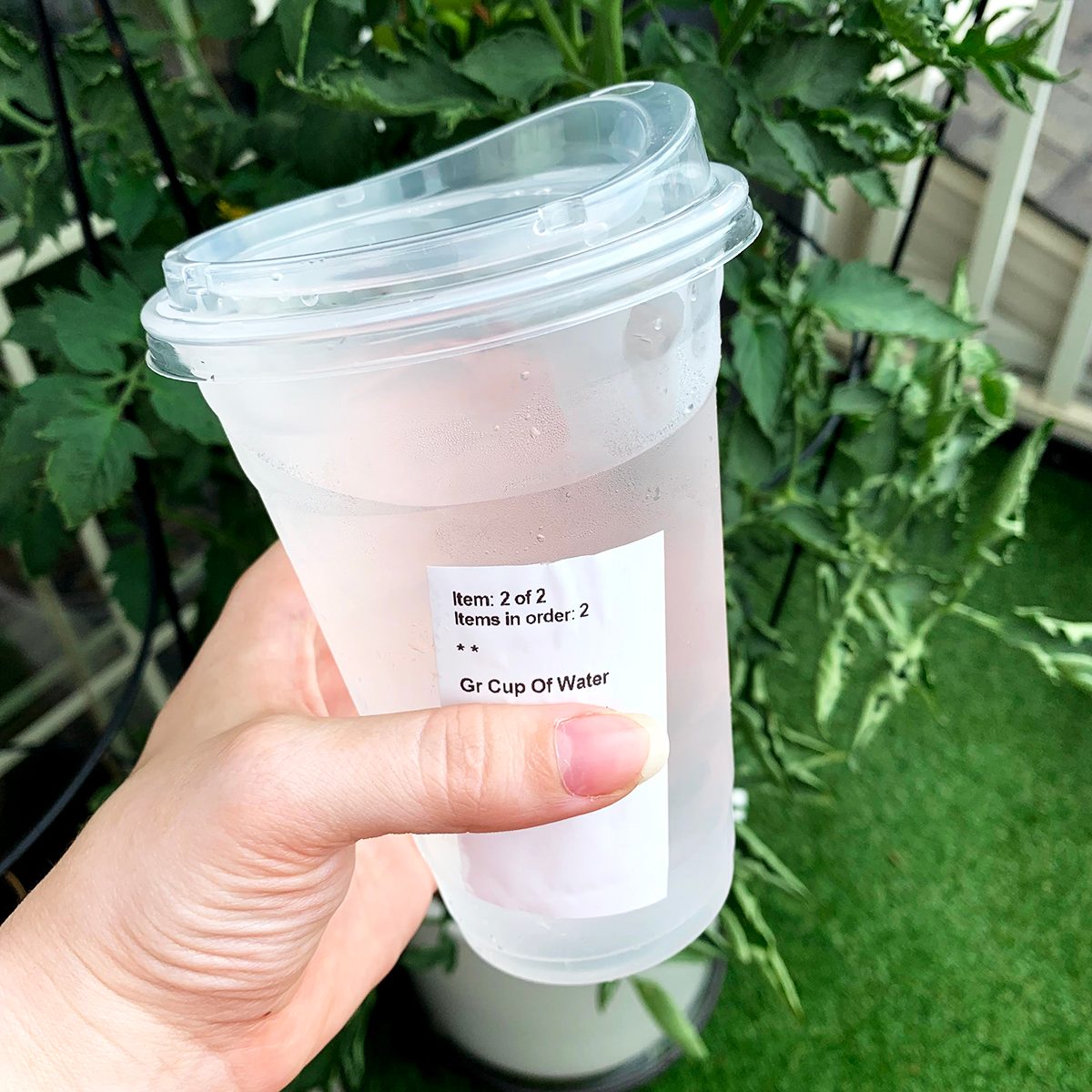 Starbucks Free Water