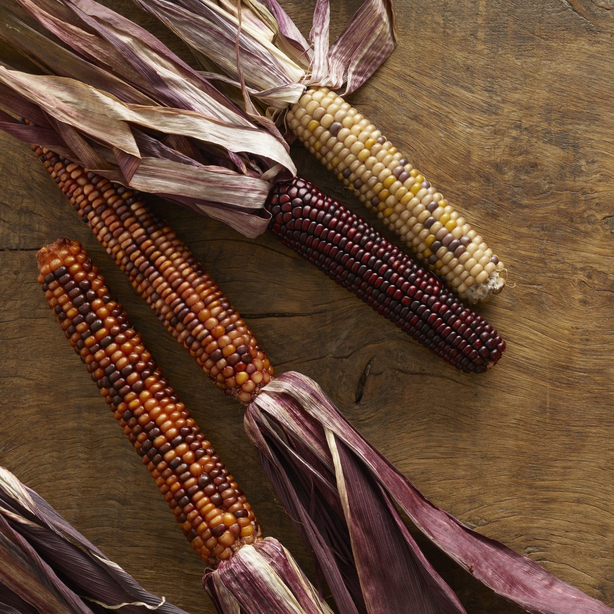 Flint corn