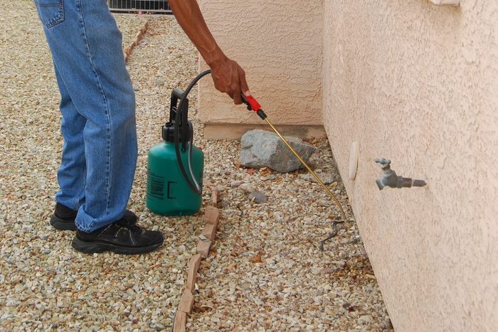 Side View Of Mature Man Spraying Crop Sprayer In Back Yard