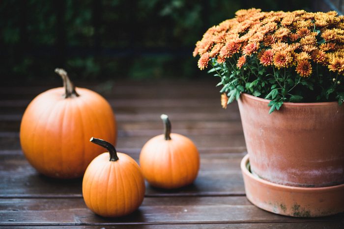 Pumpkin and orange mums on a porch during fall