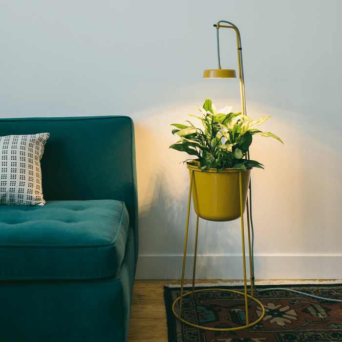 Illuminated Planter