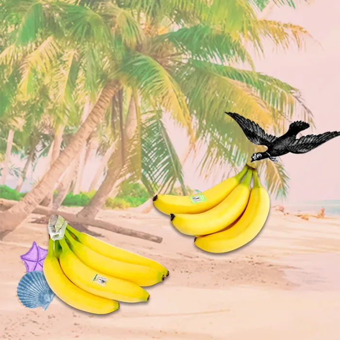 Trader Joe's Bananas Via Tj