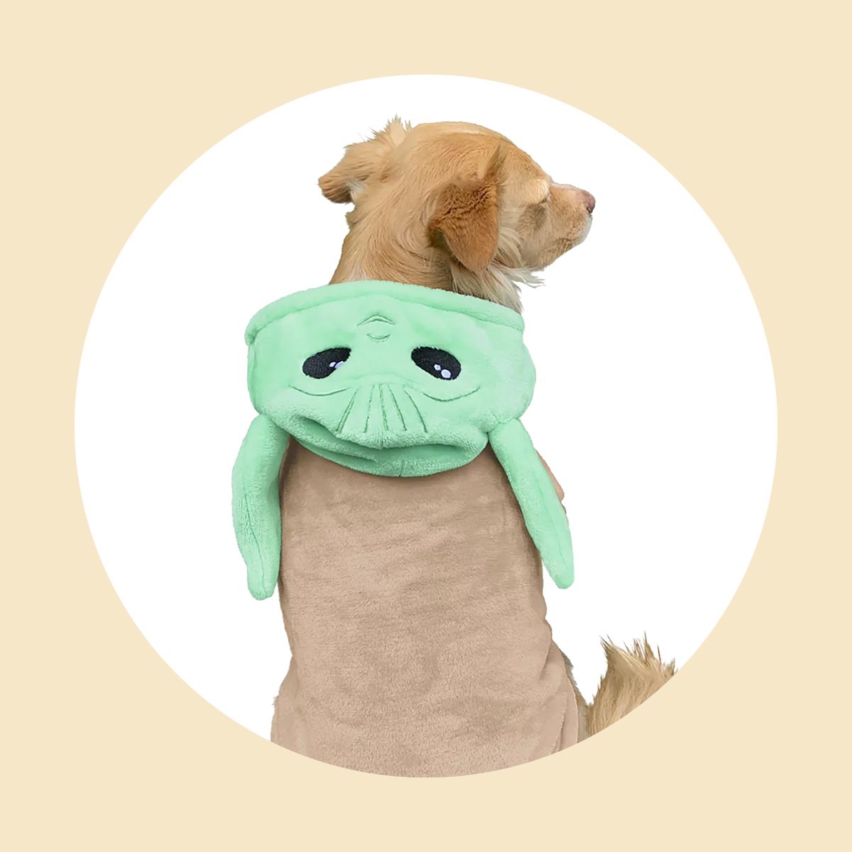 The Child Pet Hoodie