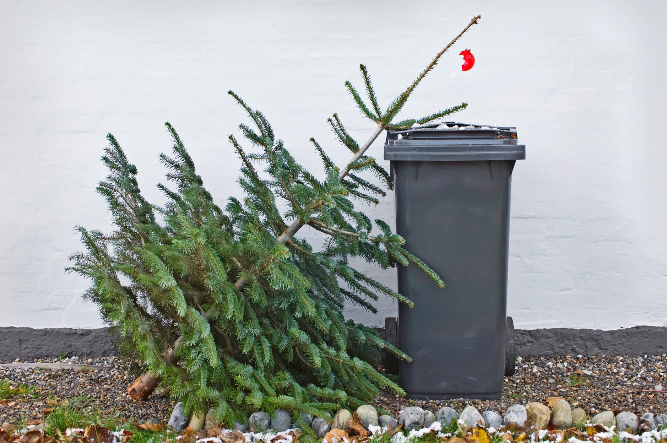 Here’s When to Take Your Christmas Tree Down After the Holidays