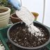 How To Garden with Perlite Potting Soil