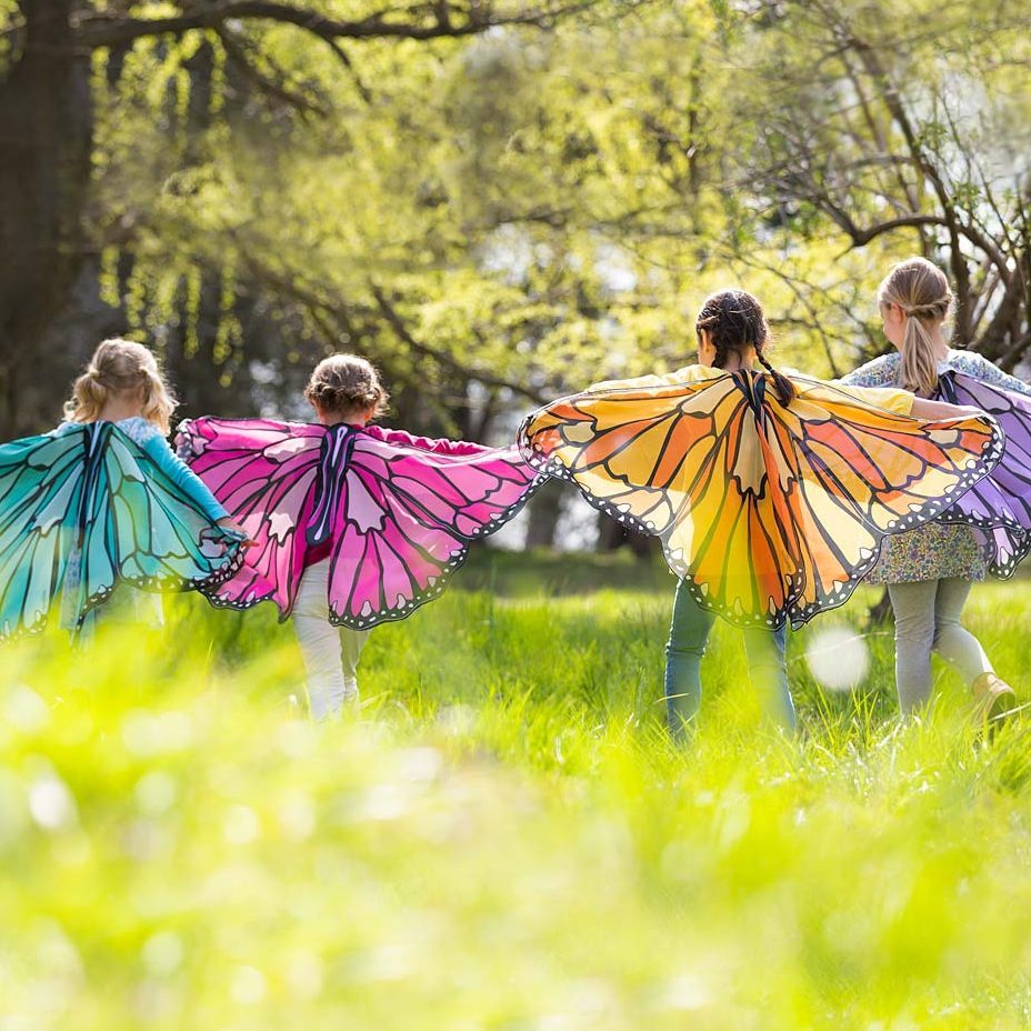 Butterfly Wings