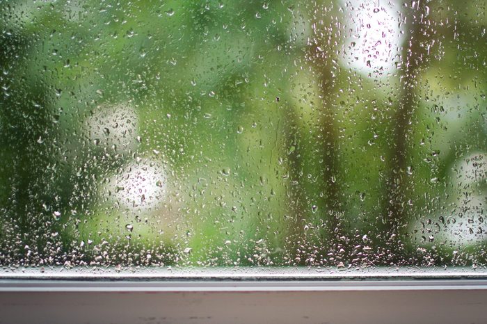 Rain drops on window
