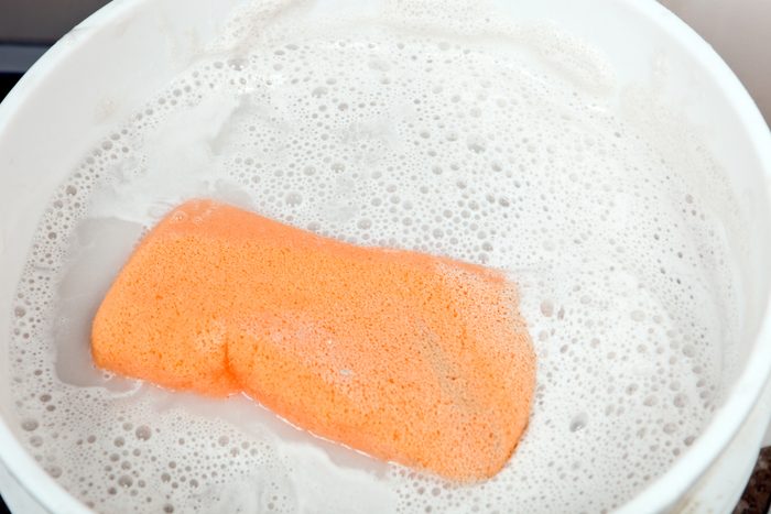 Sponge in a Bucket of Dirty Sudsy Water