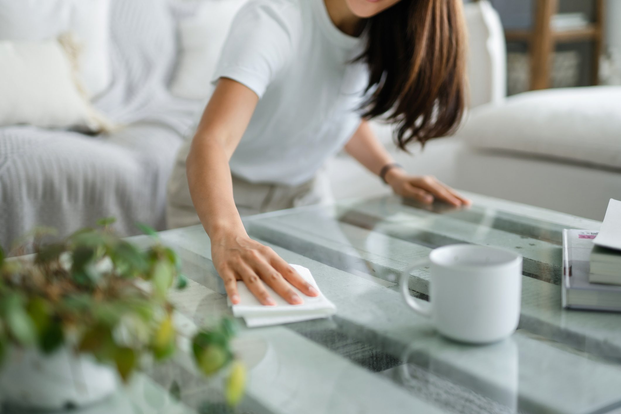 The Ultimate Living Room Cleaning Guide