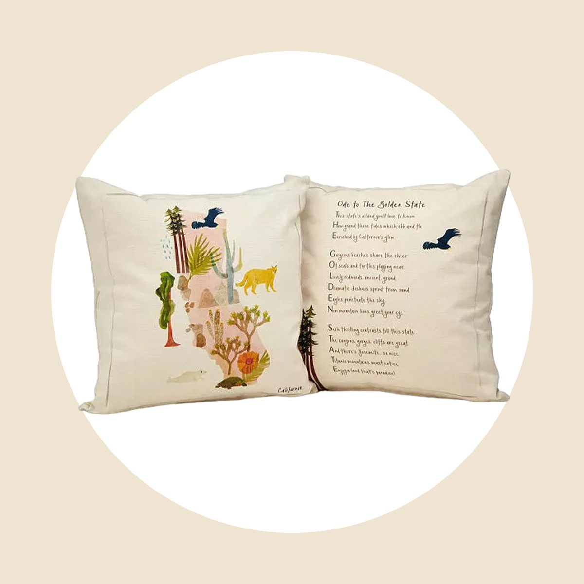 Ode To Home State Pillow