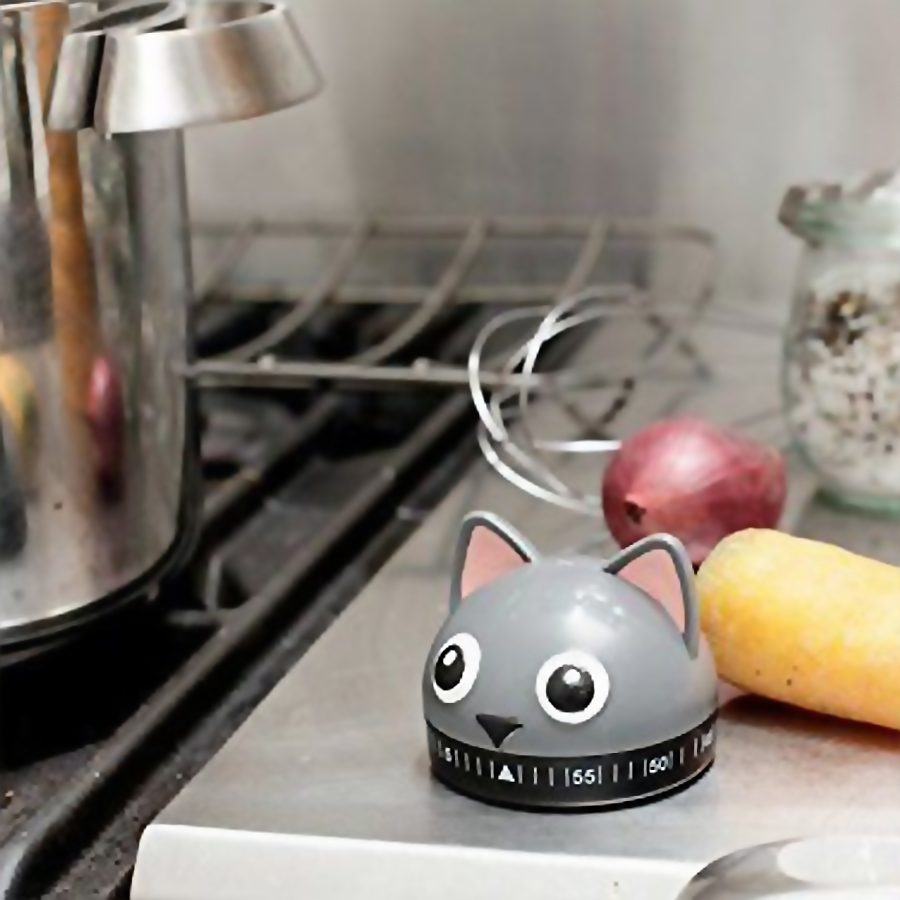 Cat Timer