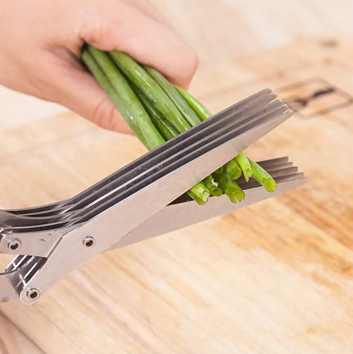 Herb Cutting Scissors