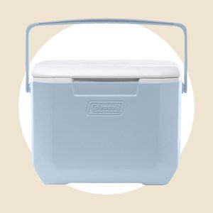 Mini Cooler