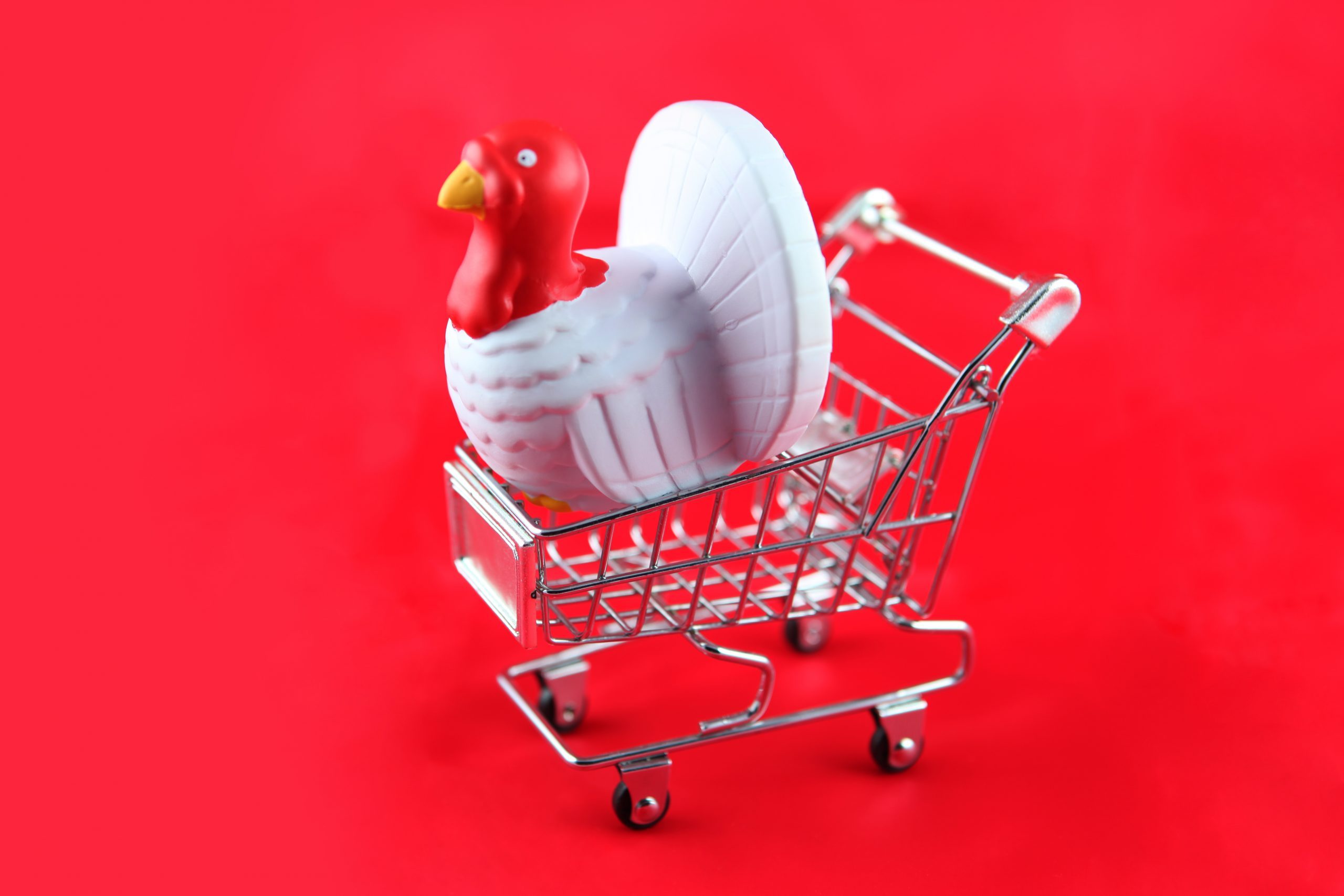 Confirmed: The Stores Open and Closed on Thanksgiving 2024