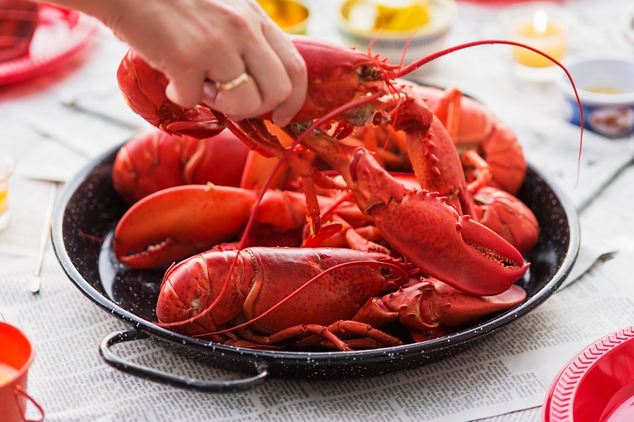 It’s Of-fish-ial: Get Lobster Delivery for Up to 50% Off