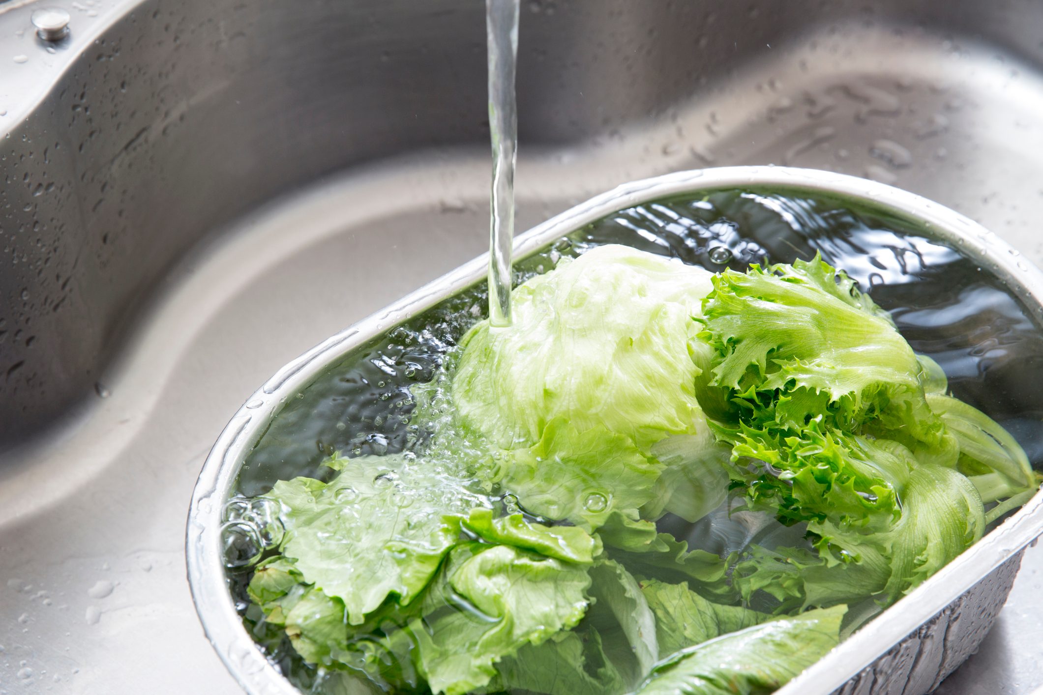 How to Fix Wilted Lettuce