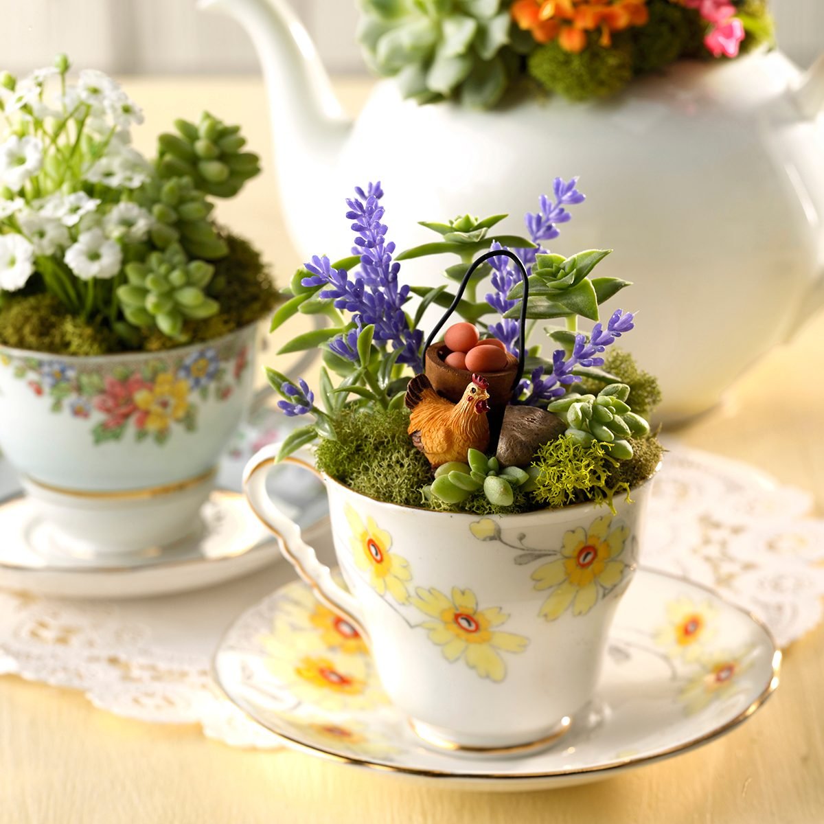 Fairy Garden