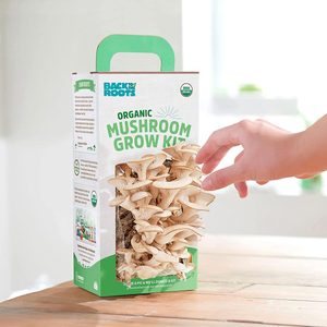 Mushroom Grow Kit