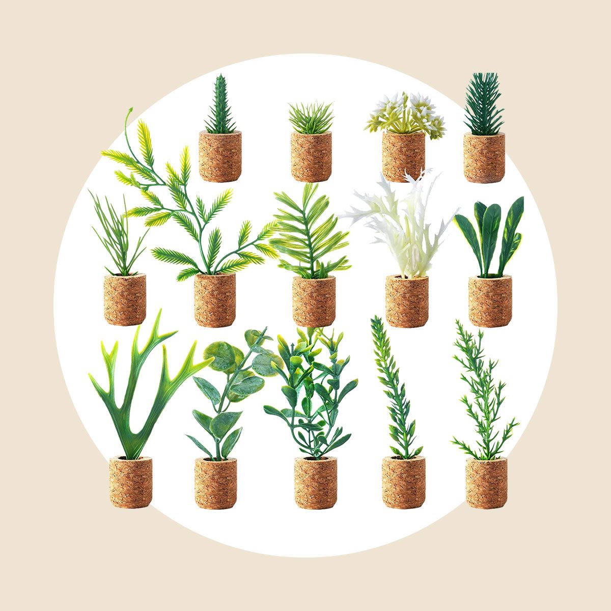 Plant Magnets 