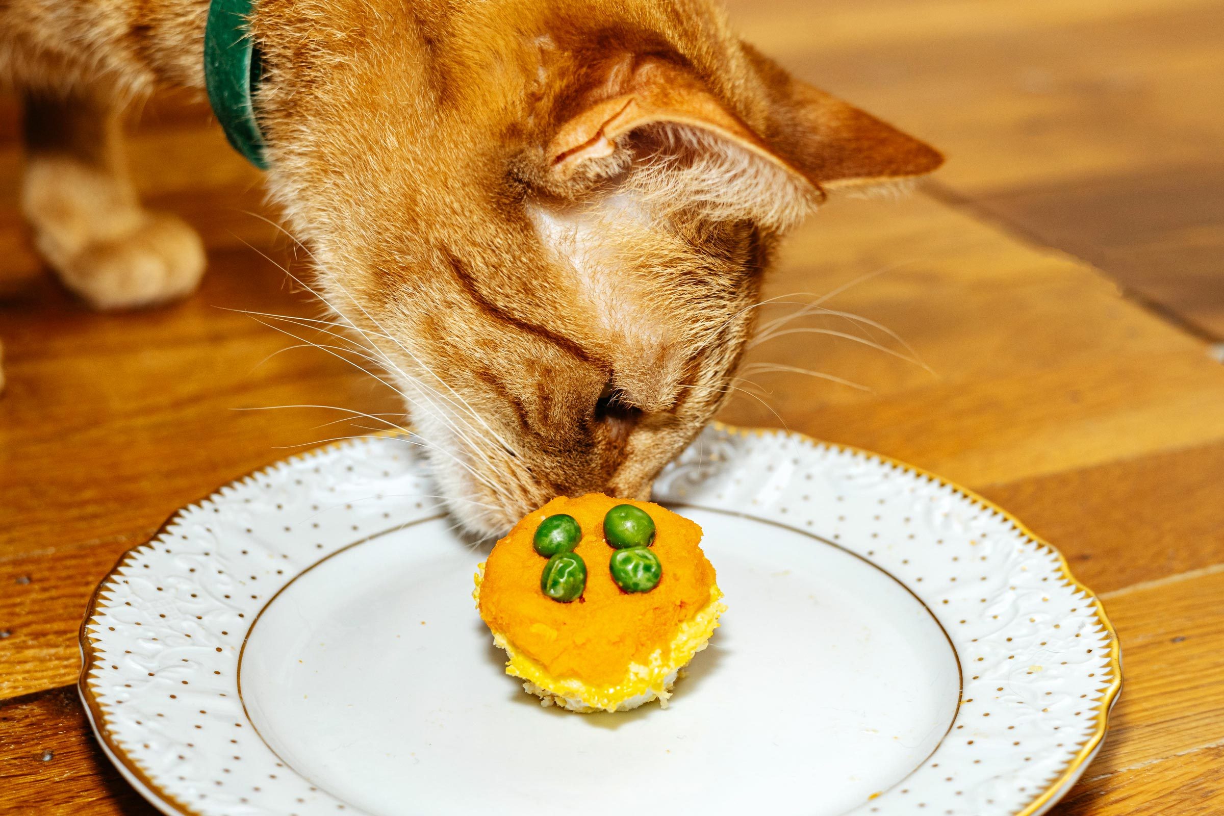 How to Make a Birthday Cake for Your Cat
