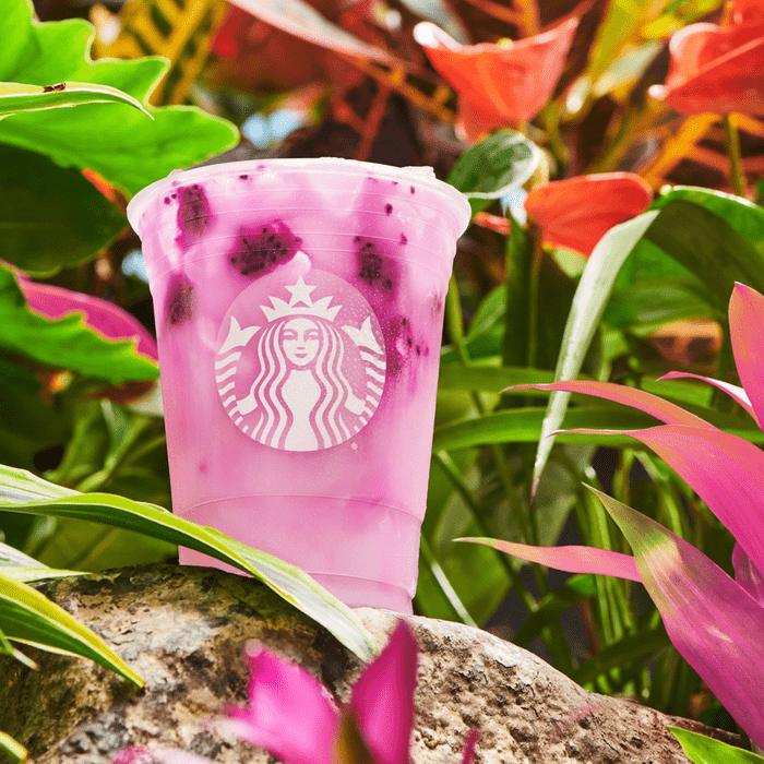 Starbucks Dragon Drink