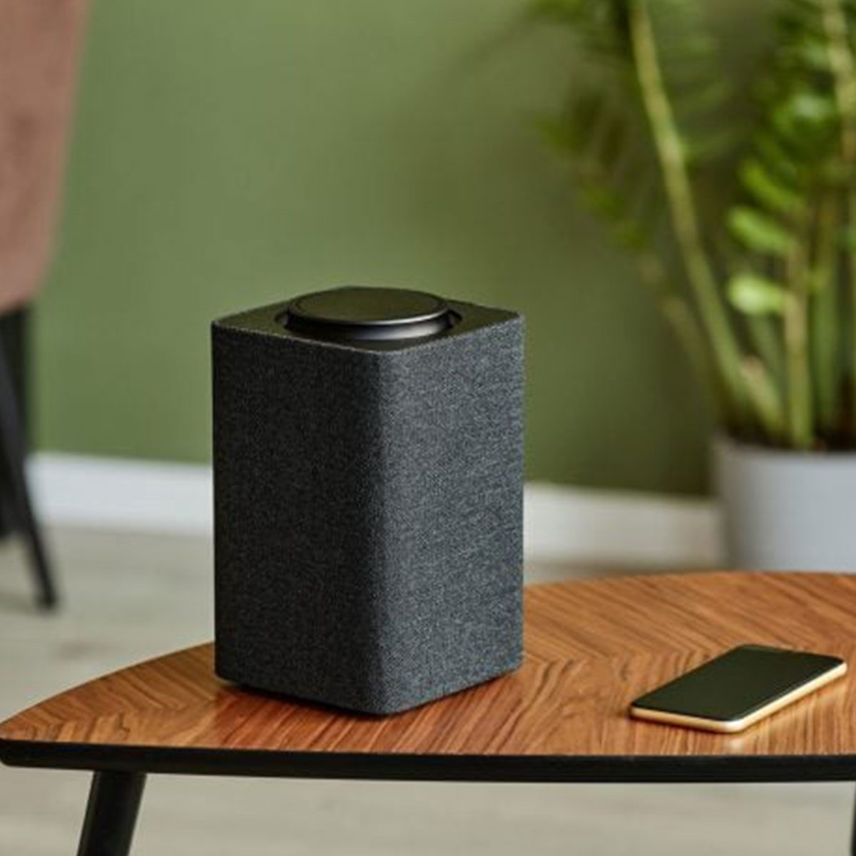 Smart Speaker At Home