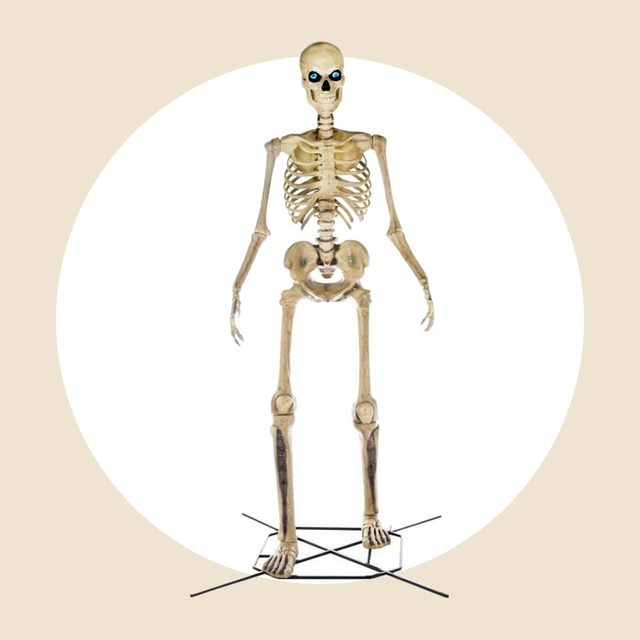 12 Foot Giant Sized Skeleton Courtesy The Home Depot