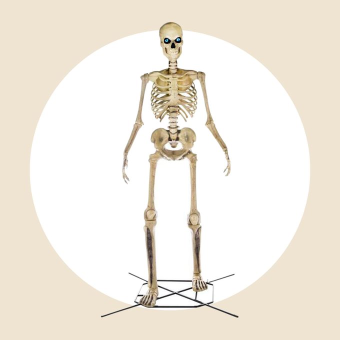 12 Foot Giant Sized Skeleton Courtesy The Home Depot