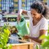 When and How Often You Should Water Your Plants