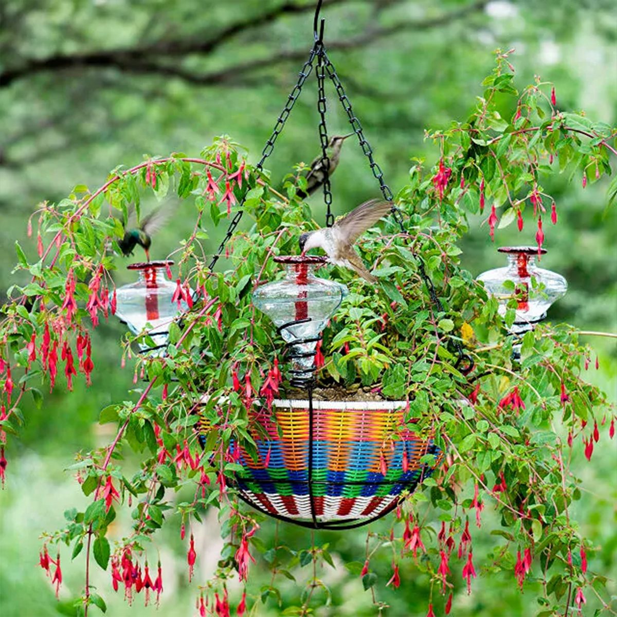 Hummingbird Feeder