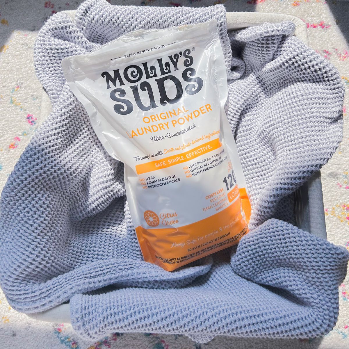 Molly's Suds Citrus Grove