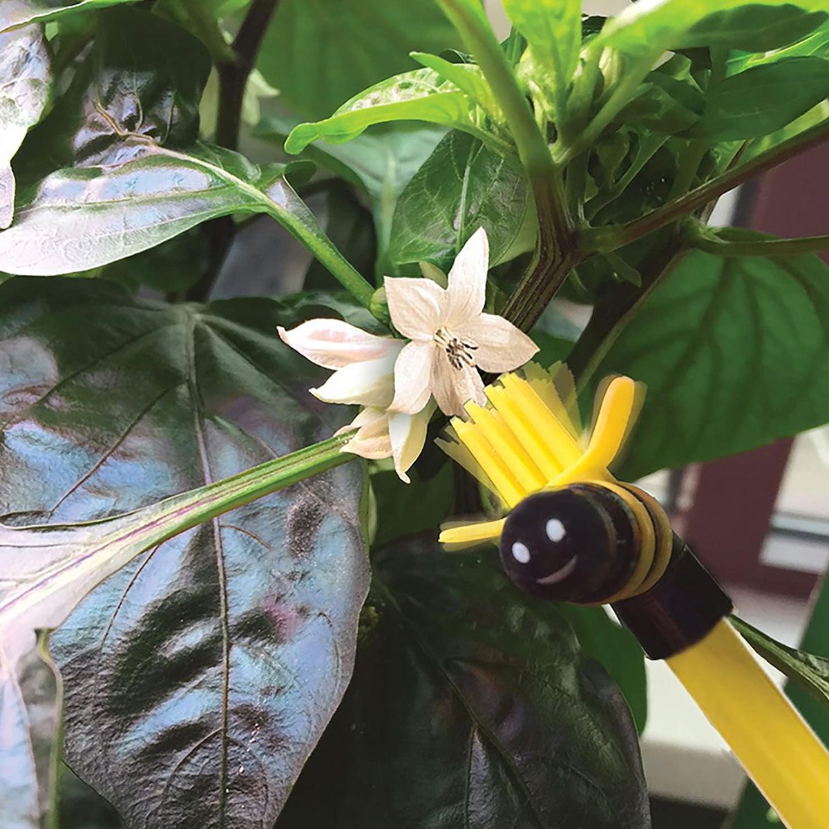 Be The Bee Pollinator